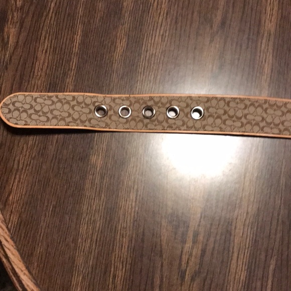 Coach belt - Picture 3 of 7
